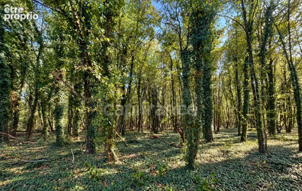Maison à vendre 6 pièces LA GUERCHE SUR L'AUBOIS (18) - photo 15