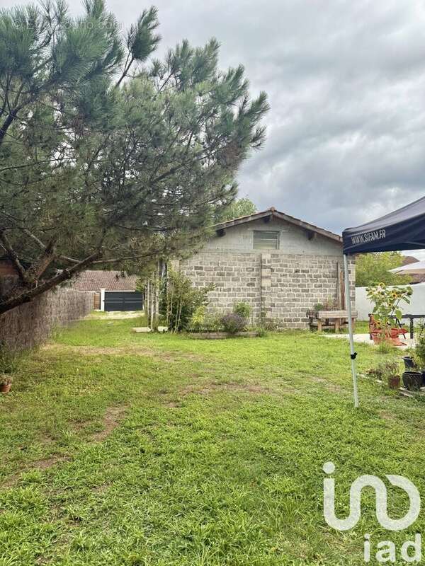 Photo 5 - Terrain à SAINT-GEOURS-DE-MAREMNE