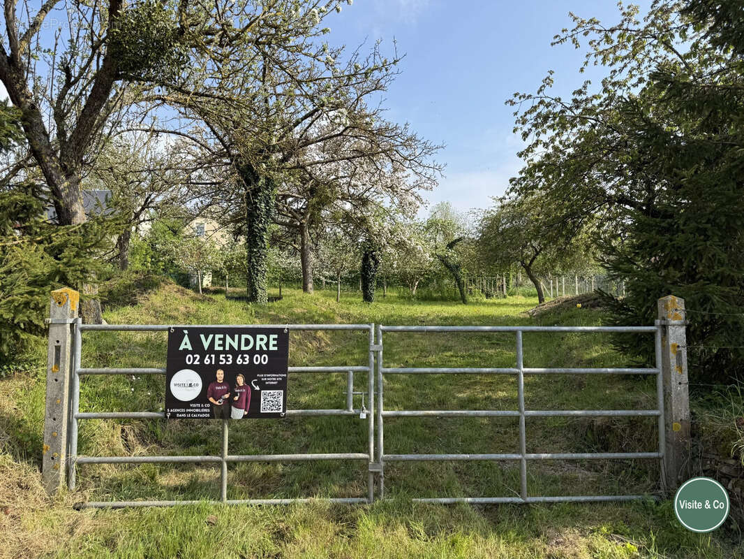 Terrain à OUILLY-LE-TESSON