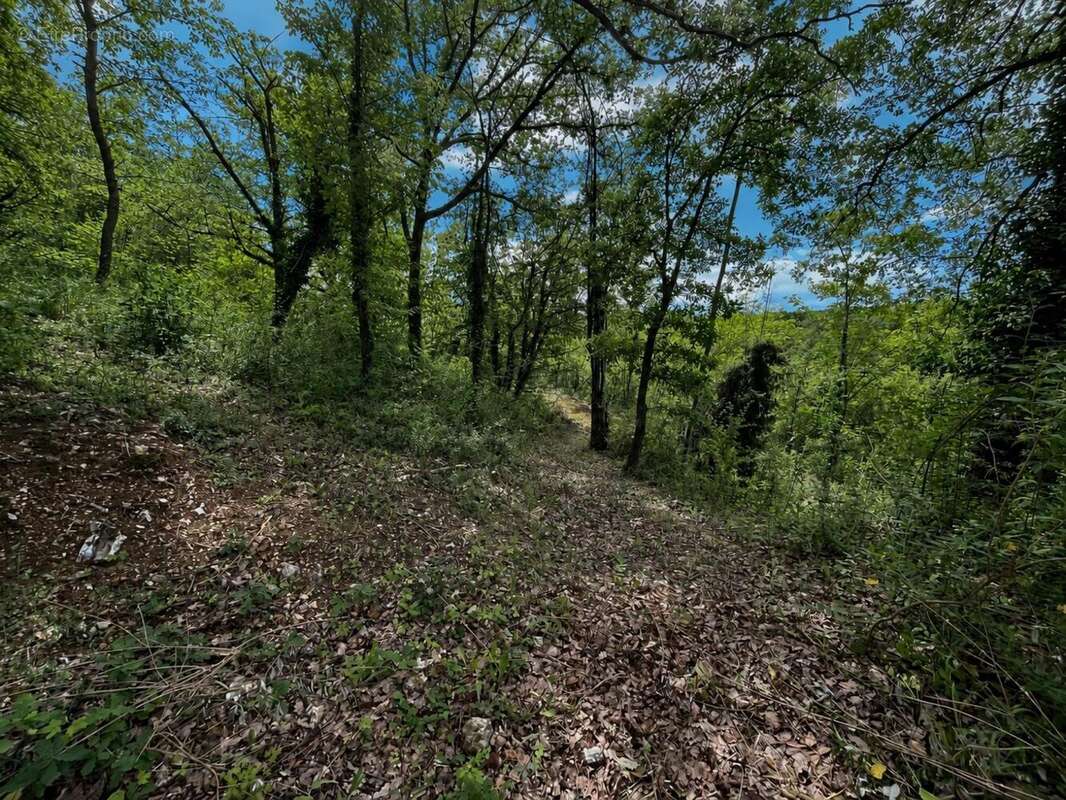 Photo 2 - Terrain à ABONDANT