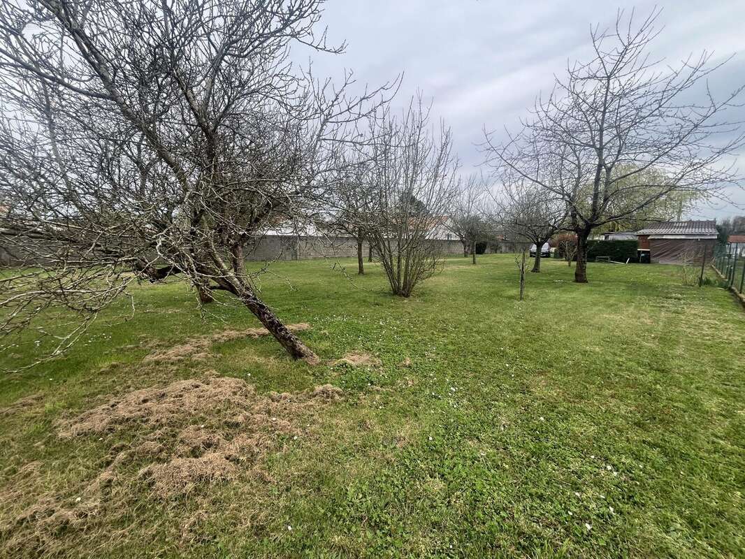 Terrain à BOURGNEUF-EN-RETZ