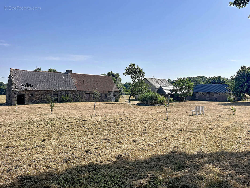 Maison à POUANCE
