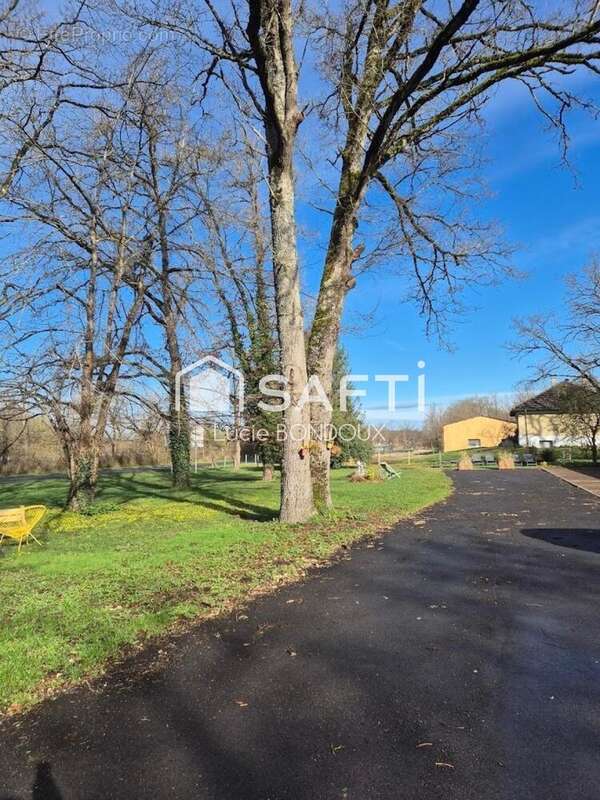 Photo 9 - Commerce à MESVES-SUR-LOIRE