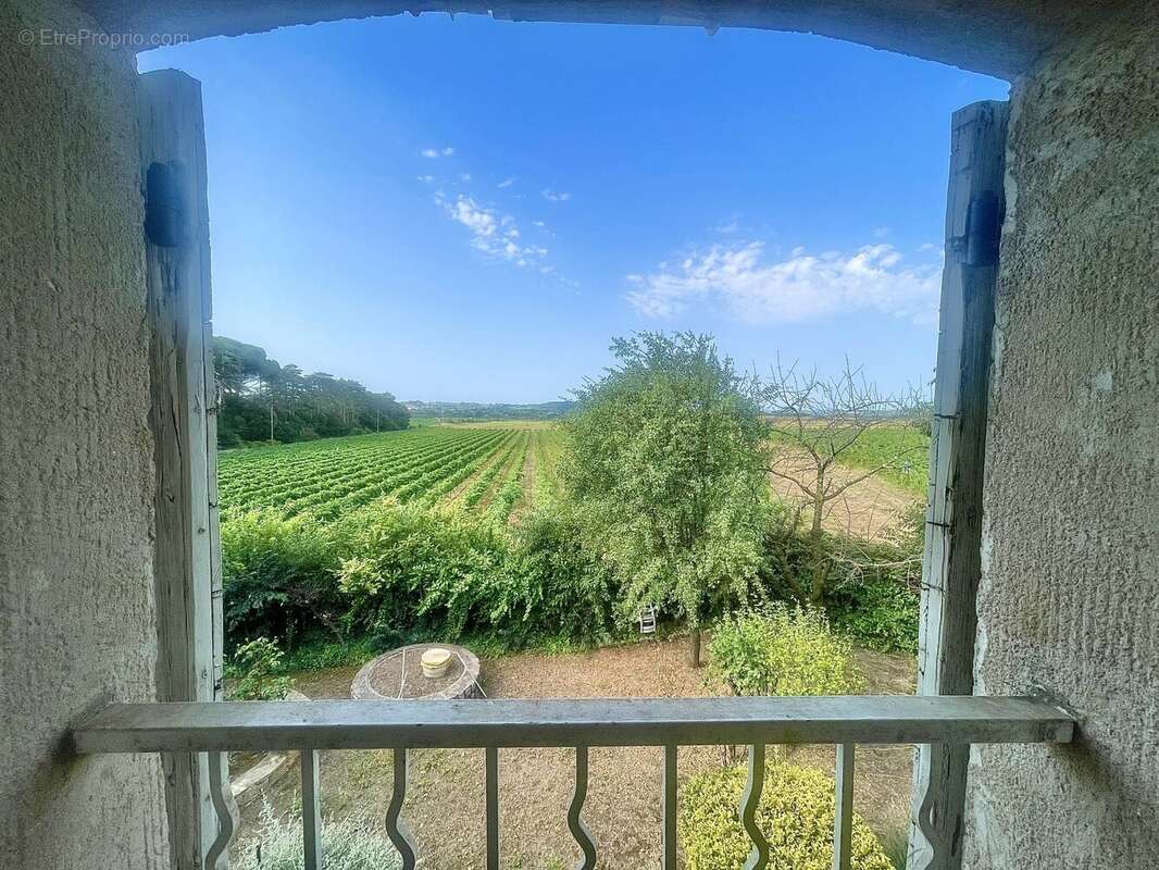 Maison 379 m² à Montagnac  - photo 9
