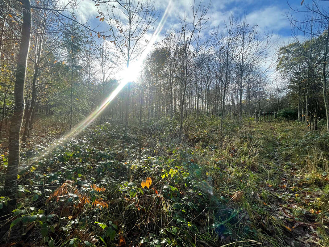 Maison à LE TRONCHET