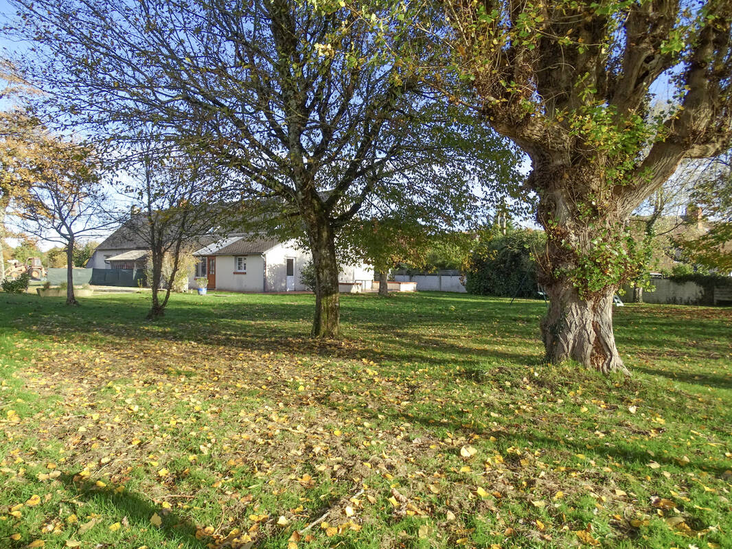 Maison à PRUNIERS-EN-SOLOGNE