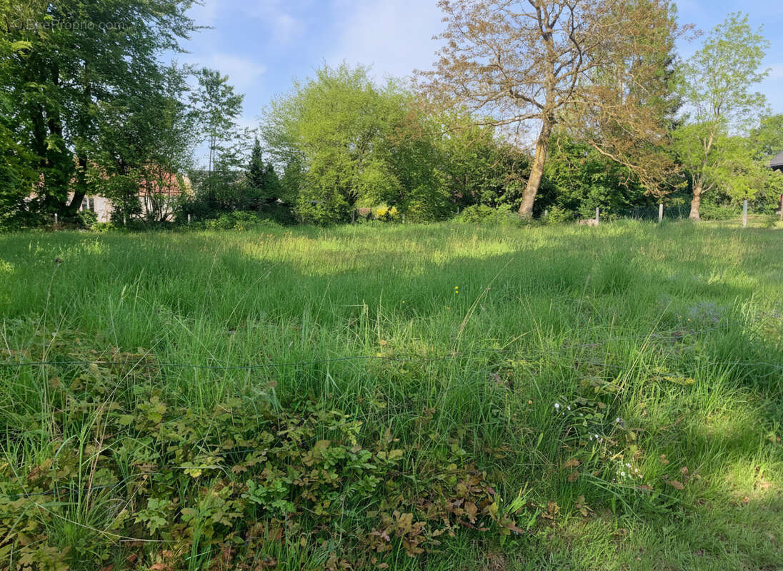 Terrain à HARCANVILLE