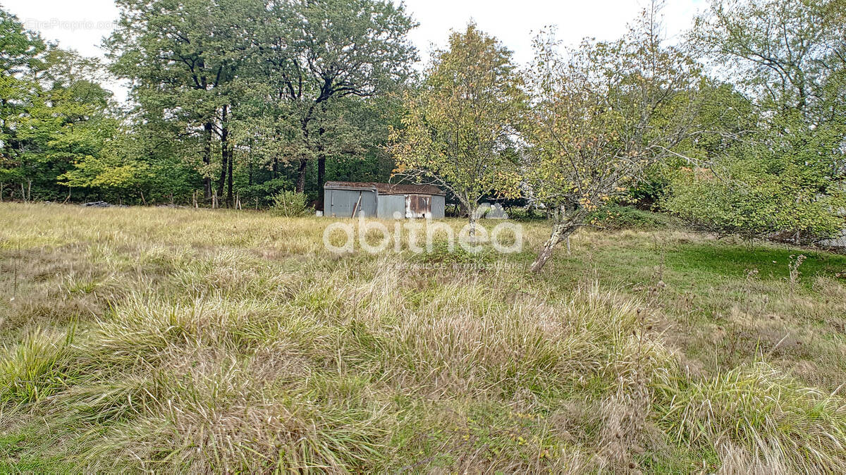 Terrain à NIEUIL