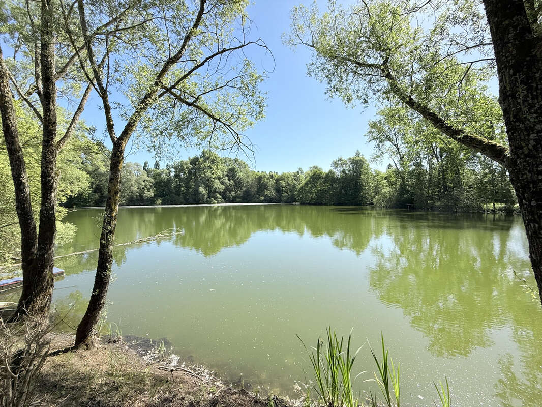Terrain à FOECY