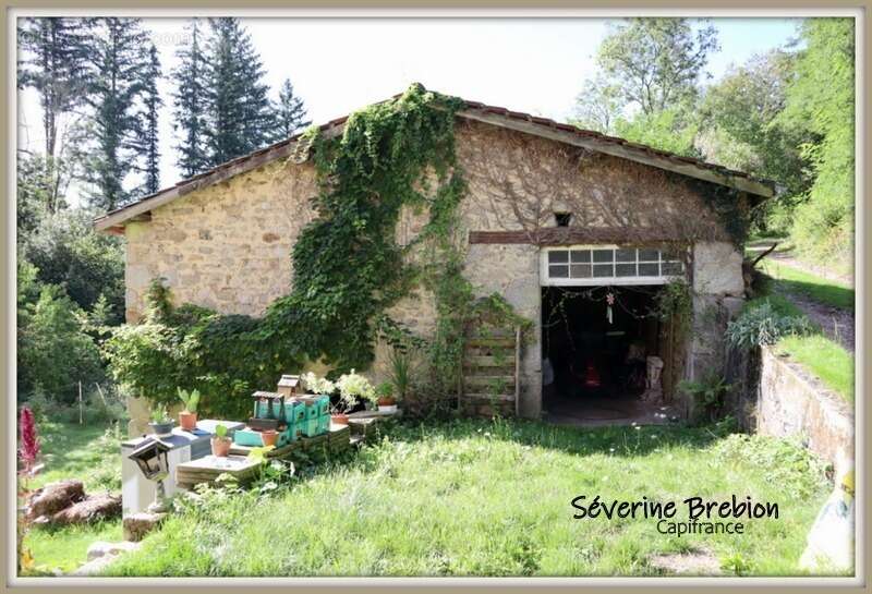  Maison rénovée en pierre de 166 m², 4 chambres, vaste séjour, dépendance, assainissement OK, avec ancien moulin et terrain de 1 - photo 4
