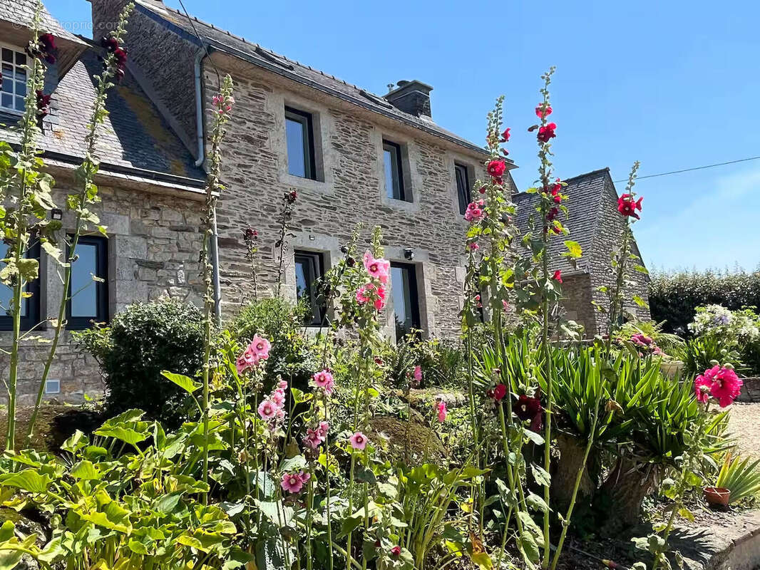Plouvorn - Demeure de prestige entre Terre et Mer - photo 16