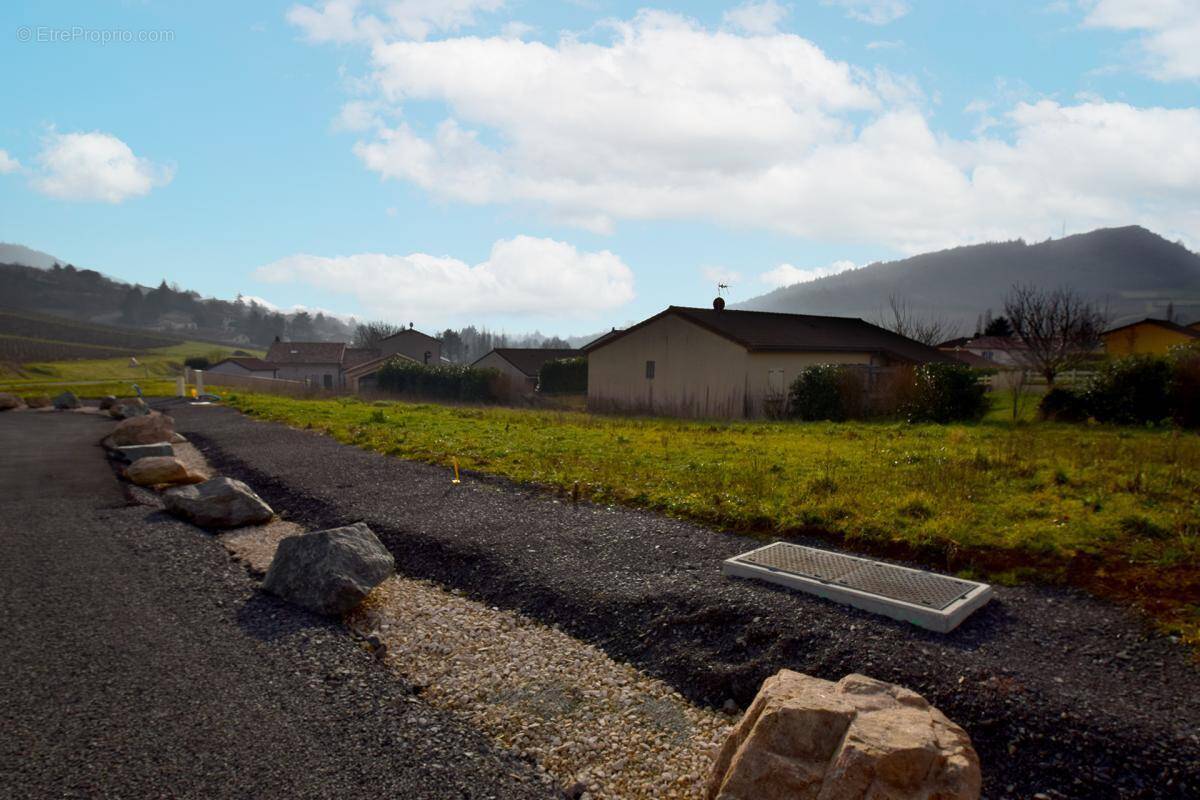 Terrain à BERZE-LA-VILLE