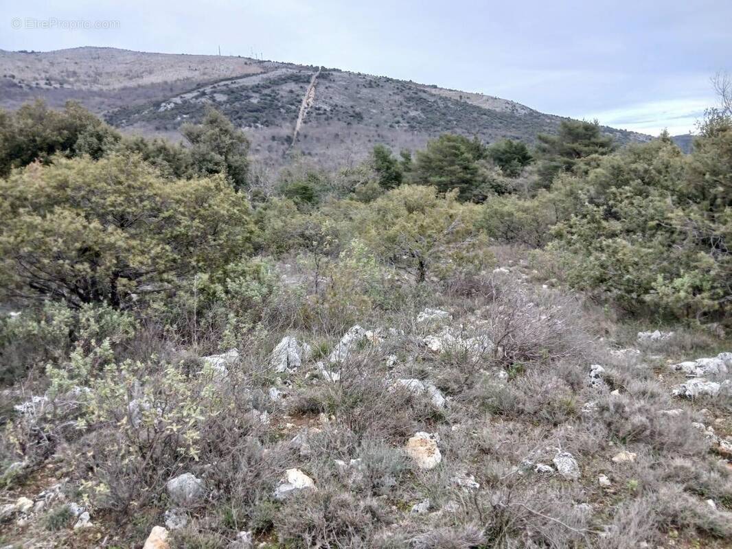   - Terrain à SAINT-VALLIER-DE-THIEY