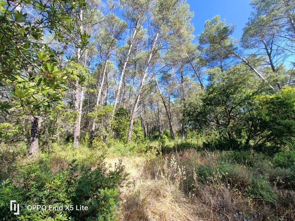 Terrain à BAGNOLS-EN-FORET