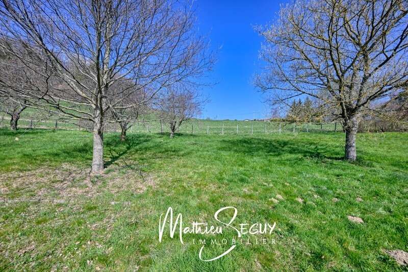 Maison à SAINT-MARTIN-EN-HAUT