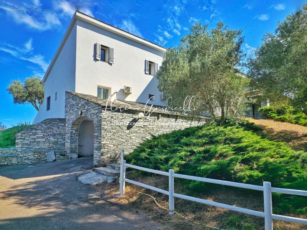 Maison à SAN-MARTINO-DI-LOTA