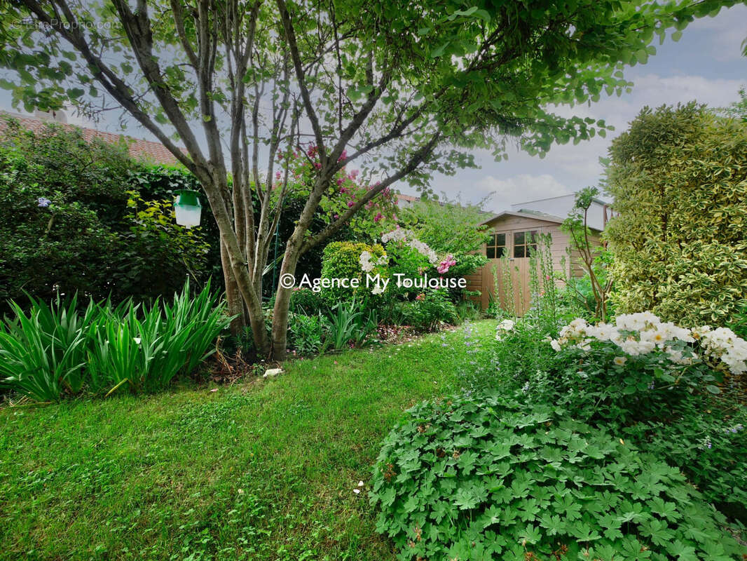 Maison à QUINT-FONSEGRIVES