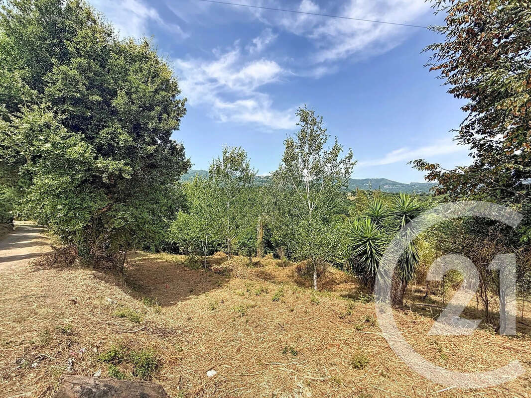 Terrain 2000 m² à San-Nicolao  - photo 10