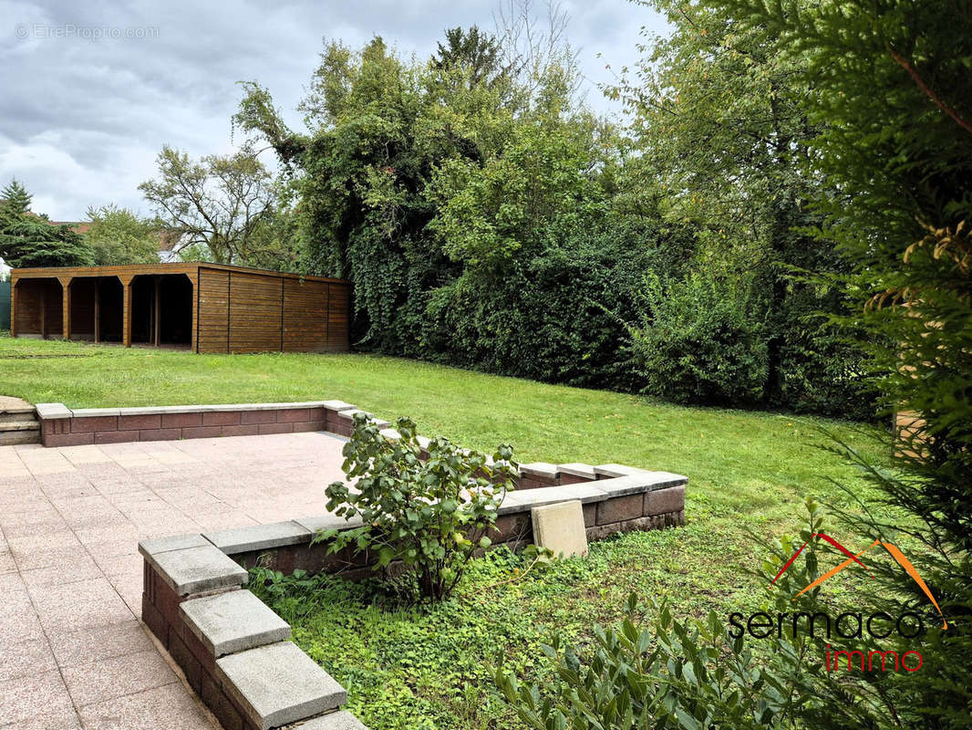 terrasse 30m2 plein Sud - Maison à SARREGUEMINES