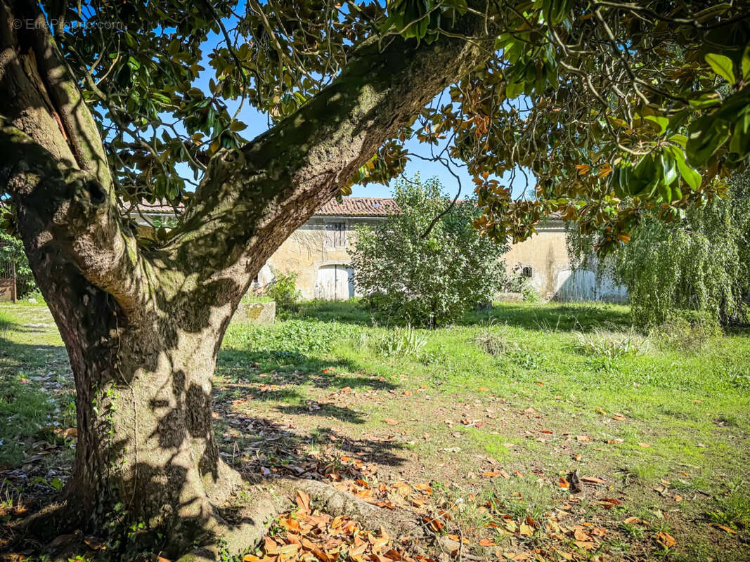Maison à VILLARS-EN-PONS