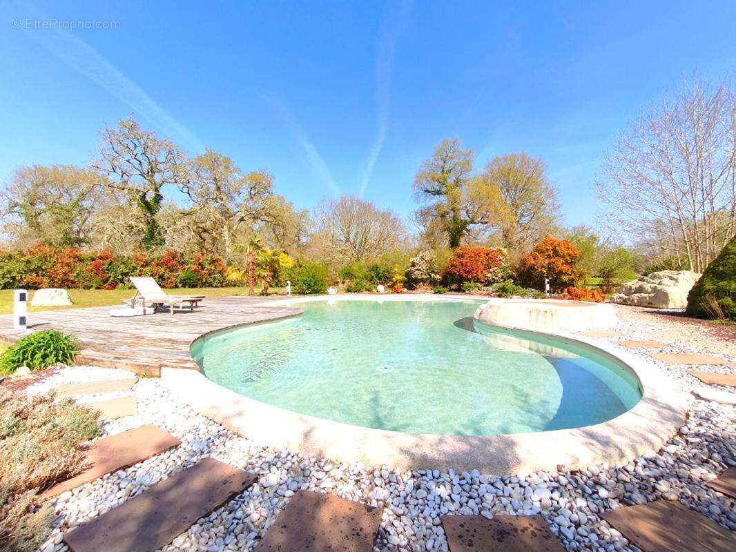 Propriété 200 m2 avec étang, piscine sur 5 hectares - photo 2