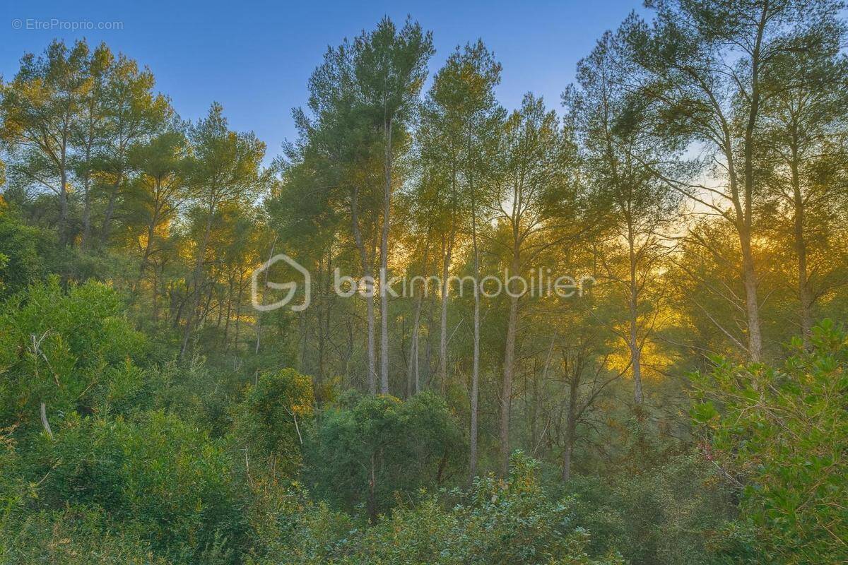 Terrain à LA CADIERE-D'AZUR