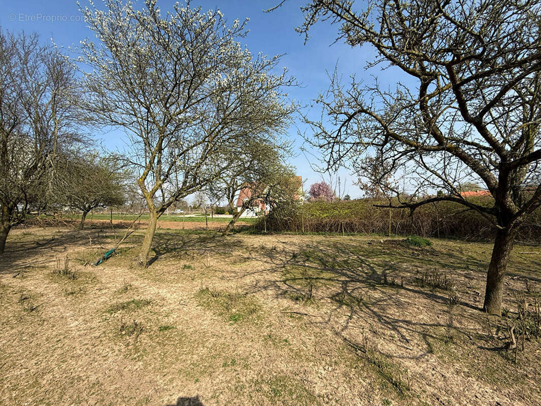 Terrain à HANDSCHUHEIM
