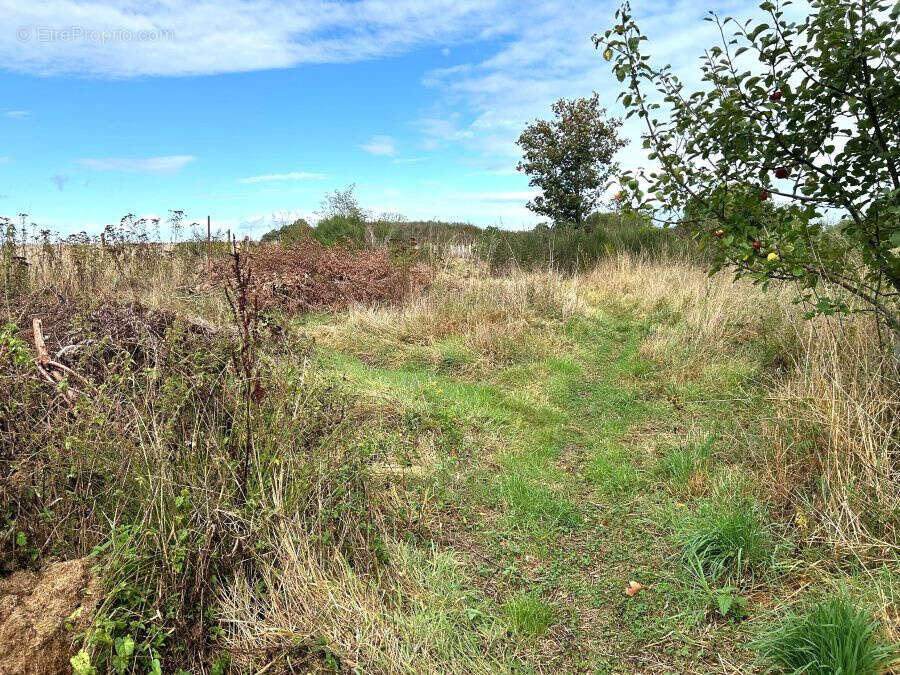 Maison à BRUILLE-SAINT-AMAND