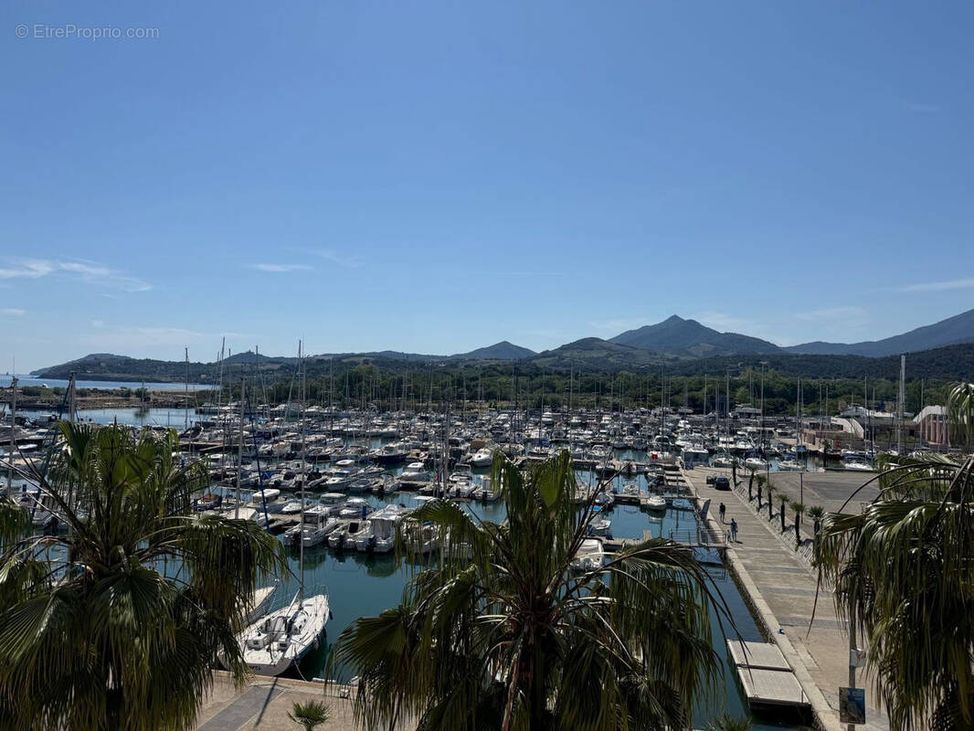 Photo 1 - Appartement à ARGELES-SUR-MER