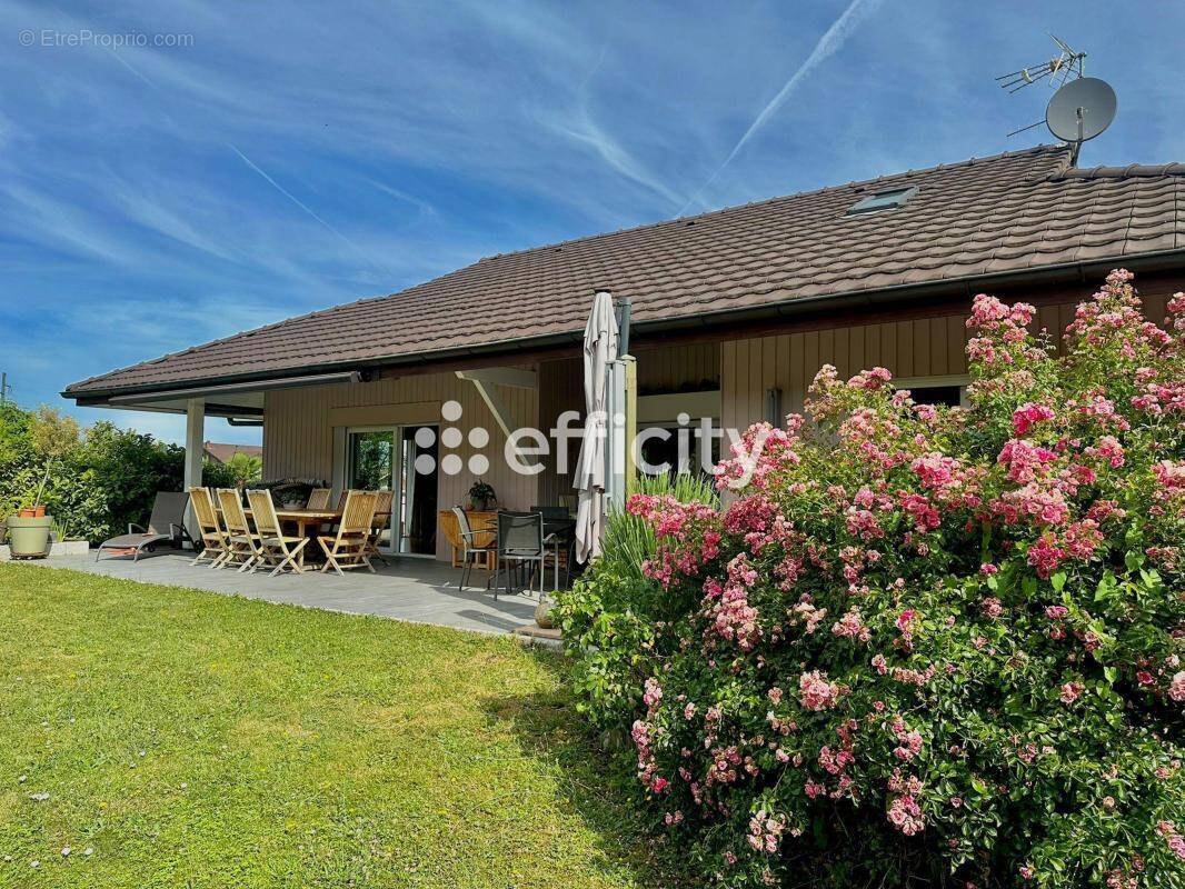 Maison à EVIAN-LES-BAINS