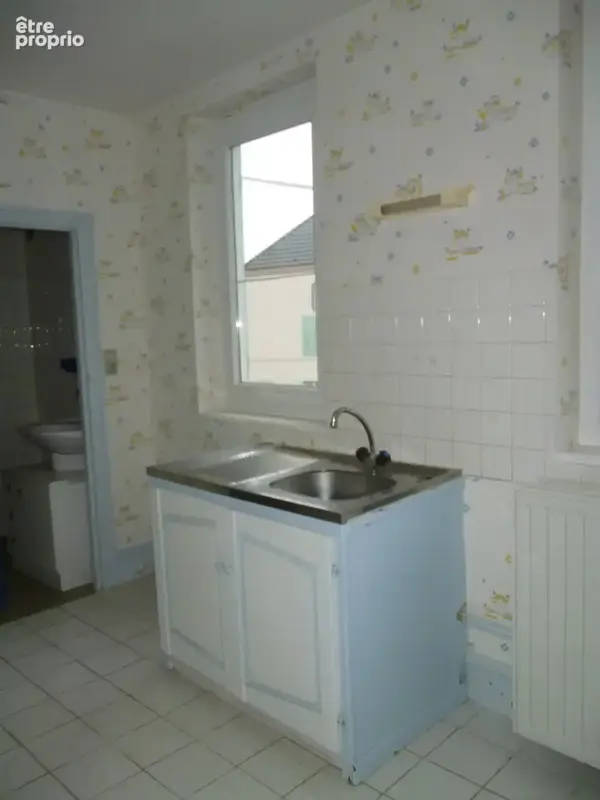 Verdun Ciel, Verdun sur le Doubs centre ville, 2 Appartements locatifs + grenier - photo 15