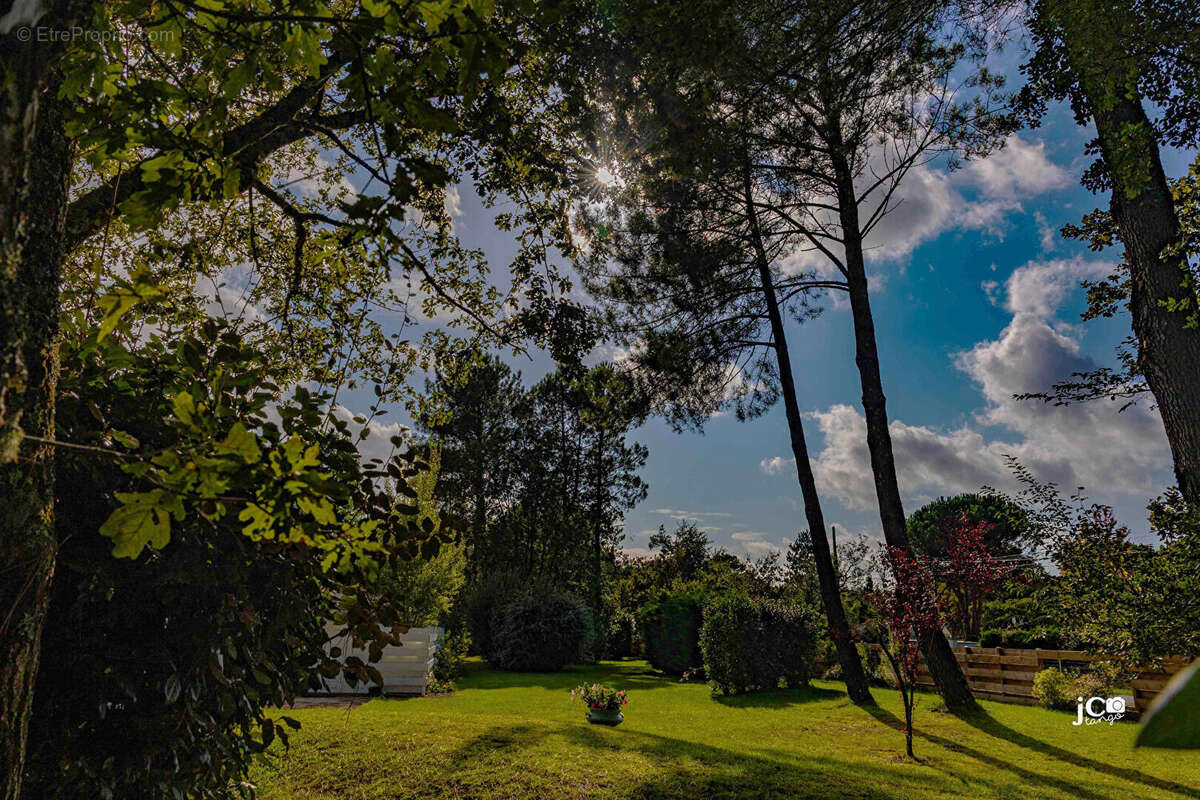 Maison à VIELLE-SAINT-GIRONS