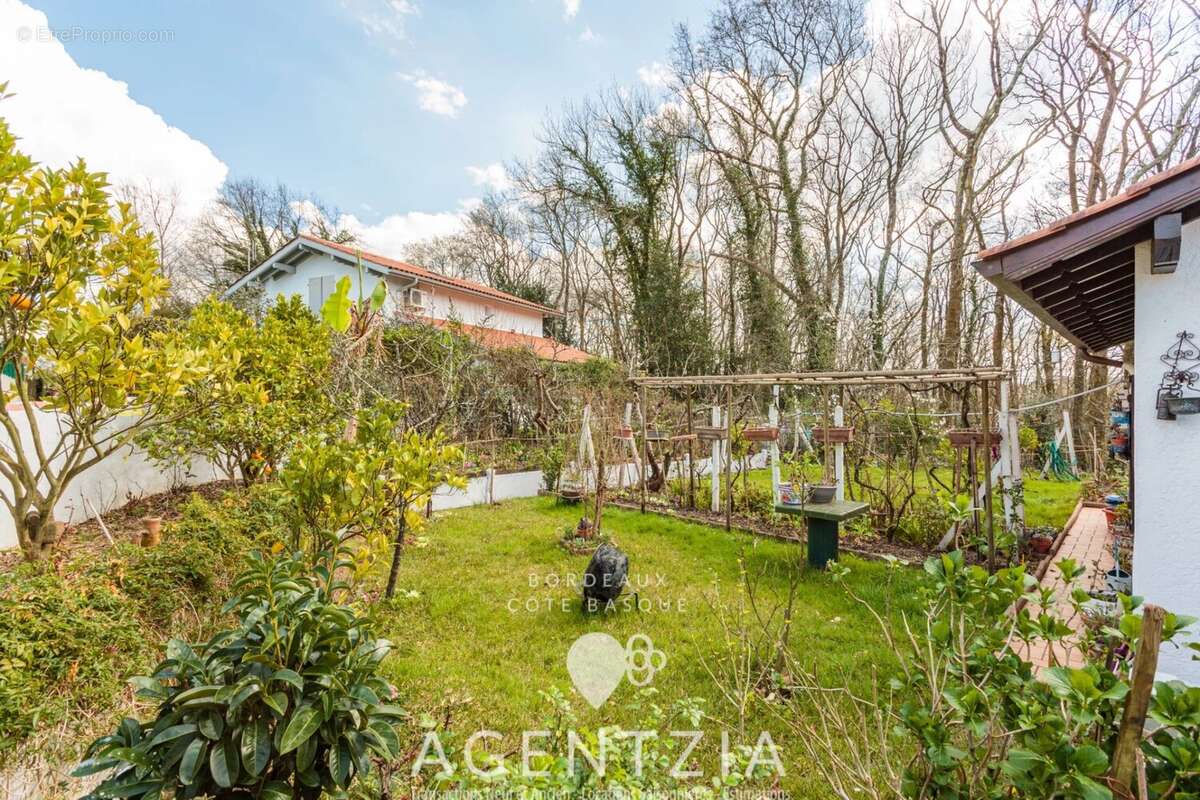 Maison à BASSUSSARRY