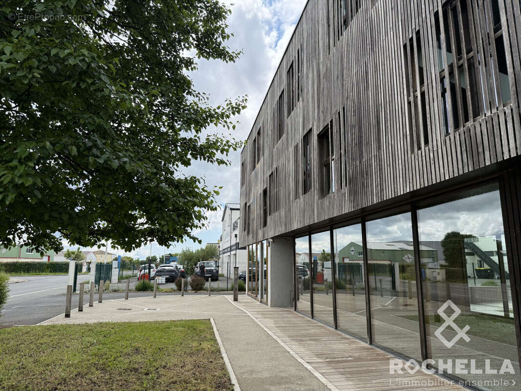 Commerce à SAINT-MEDARD-D'AUNIS