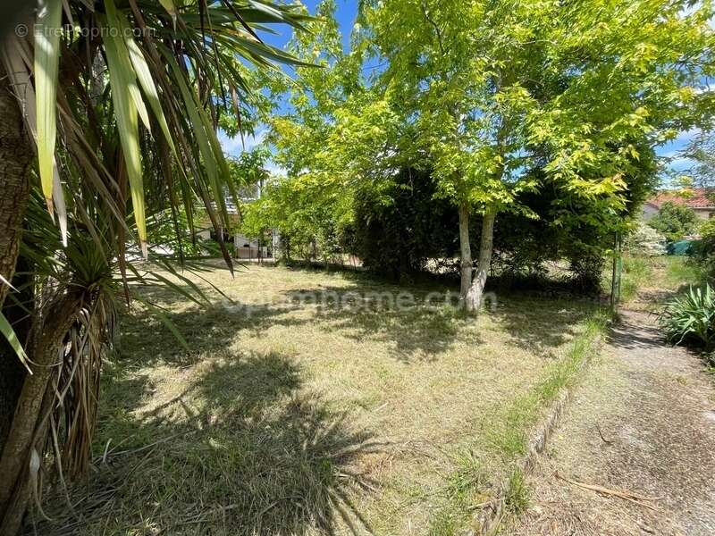 Terrain à L&#039;ISLE-JOURDAIN