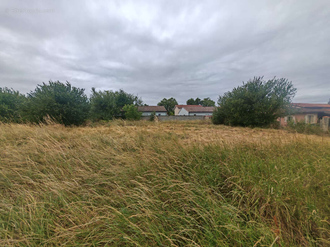 Terrain à EAUNES