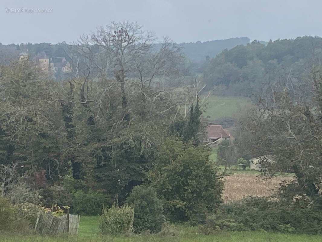 Terrain à COUX-ET-BIGAROQUE