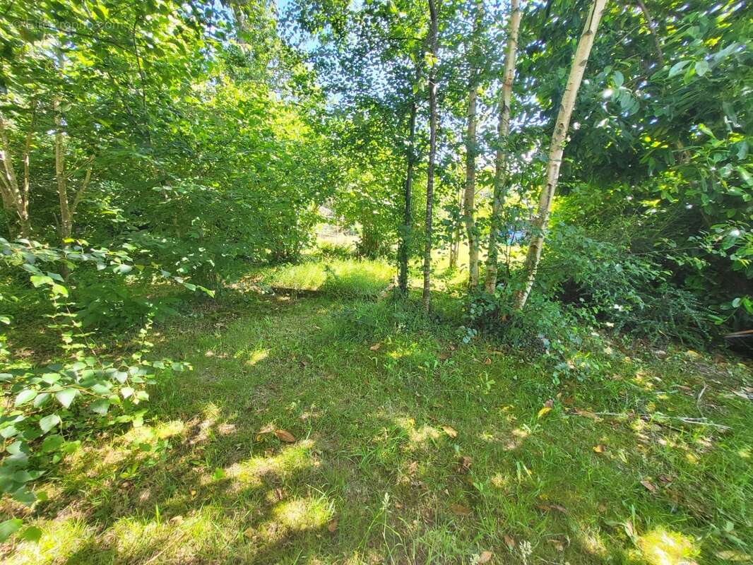Terrain constructible à vendre  ARGOL (29) - photo 4