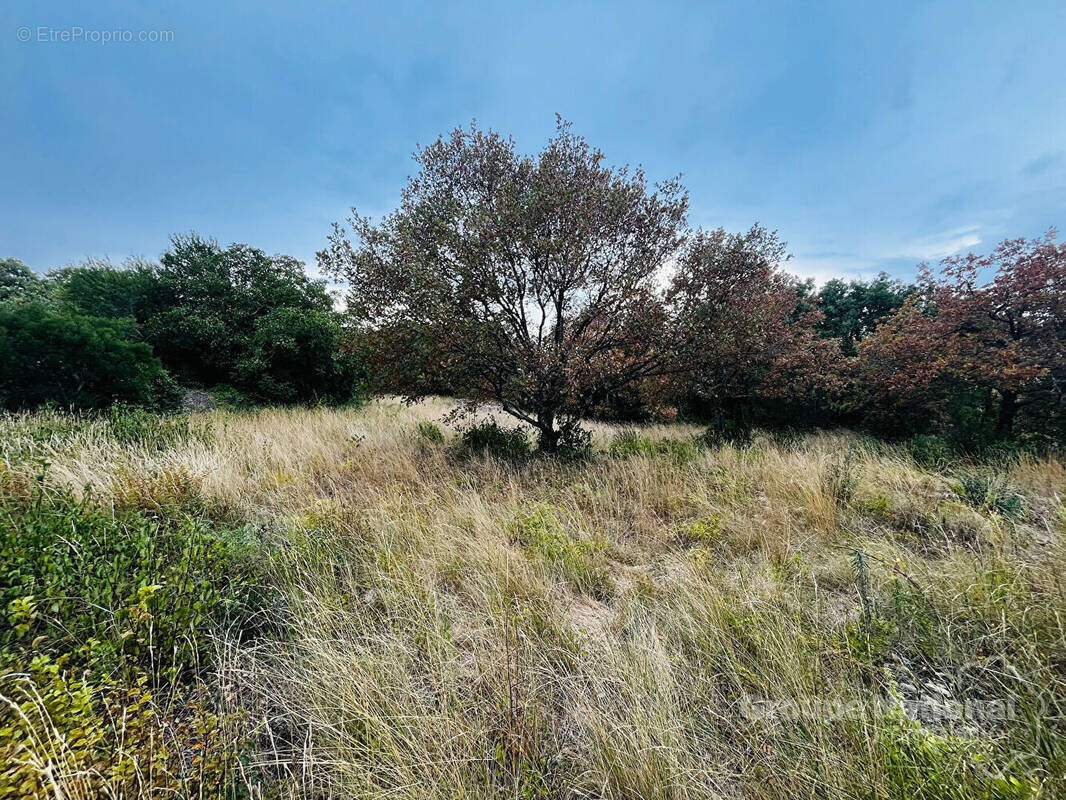 Terrain à SALAZAC