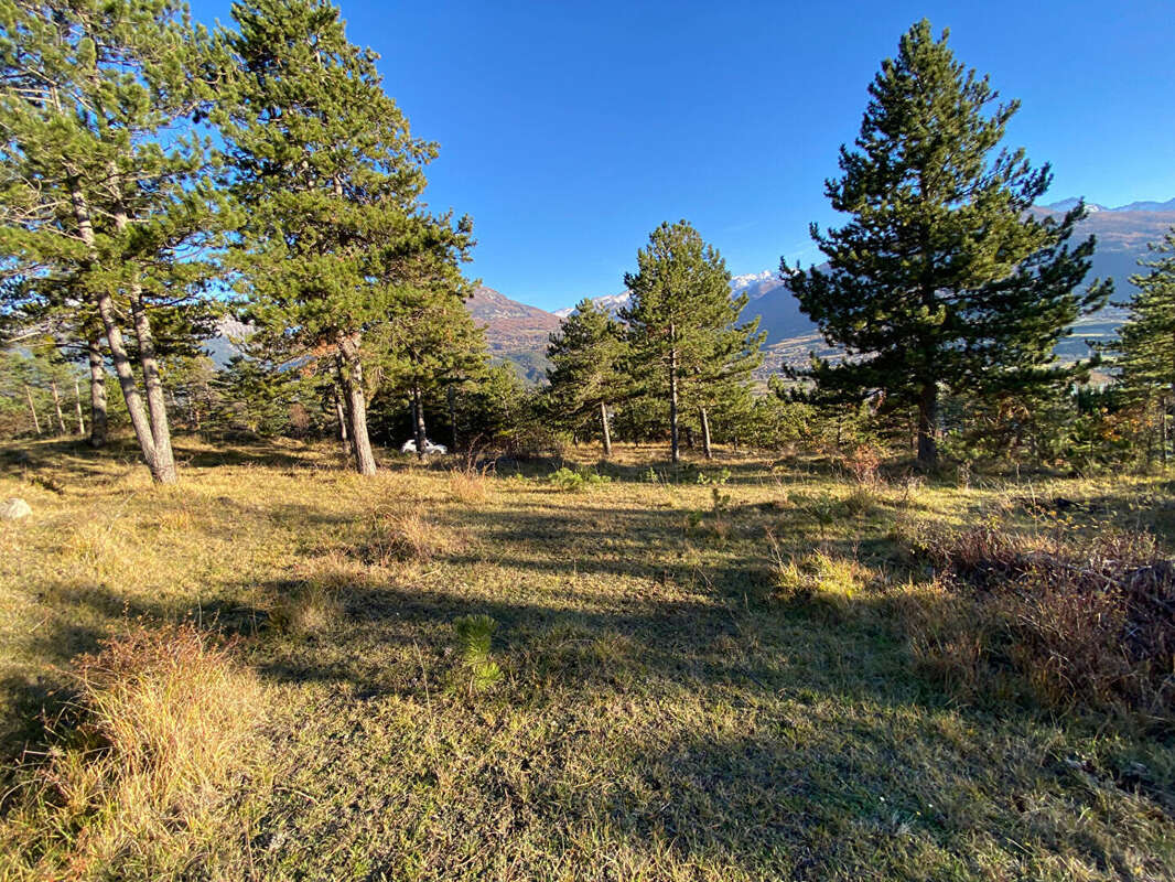 Terrain à EMBRUN