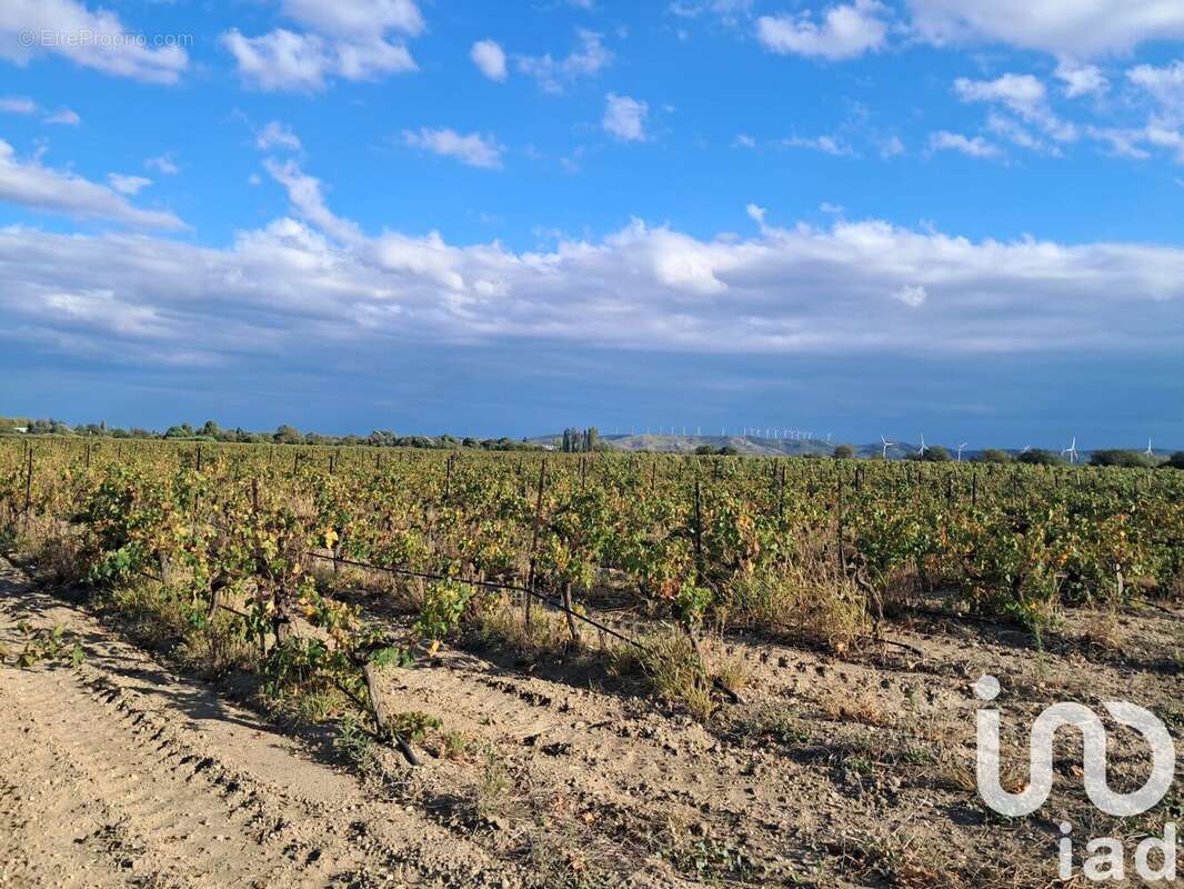 Photo 2 - Terrain à CANET