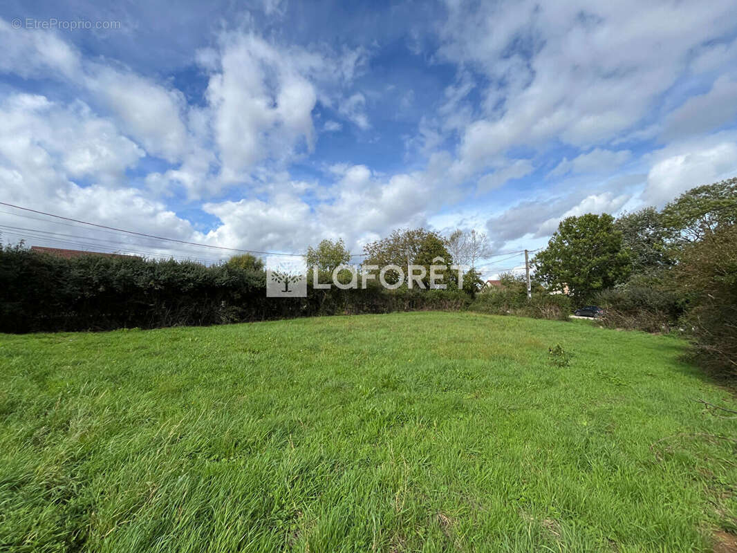 Terrain à SAINT-VIT