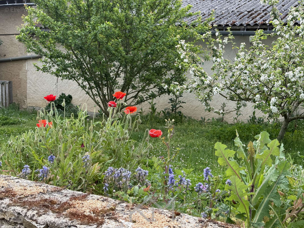 Maison à CHAUVIGNY