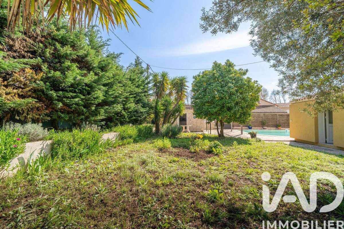 Photo 3 - Maison à OLLIOULES