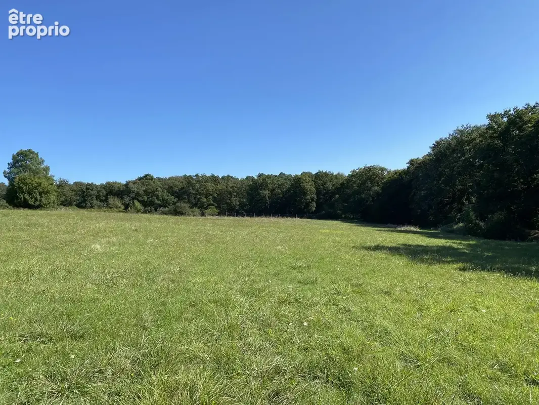 Charmante propriété proche de Châtellerault - photo 24