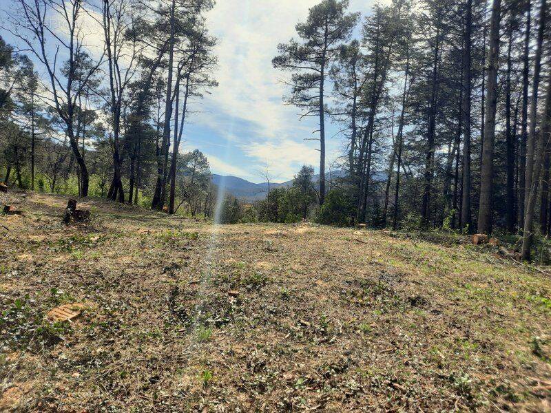 Terrain à SAINT-AMBROIX