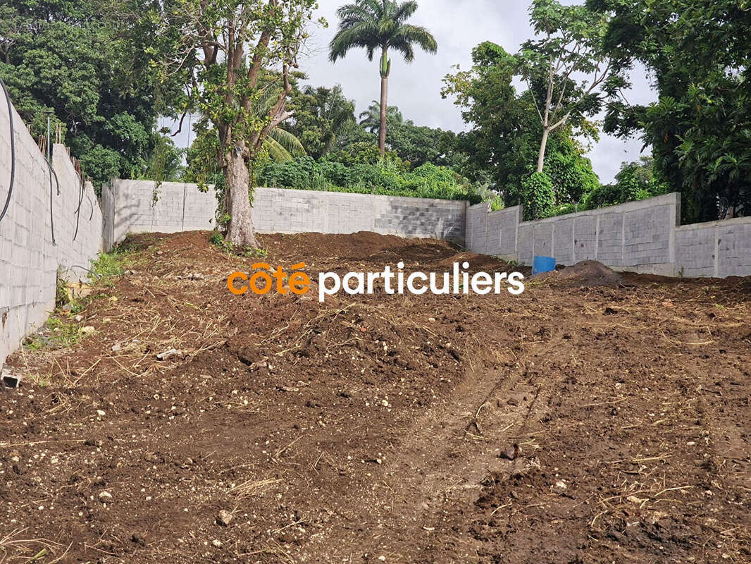 Terrain à PETIT-BOURG