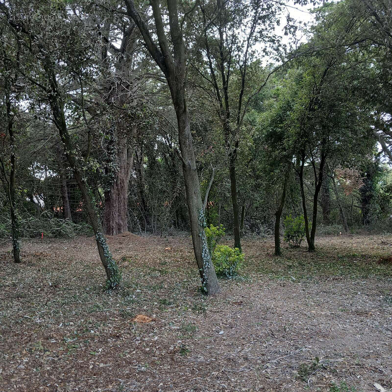 Terrain à L&#039;EPINE