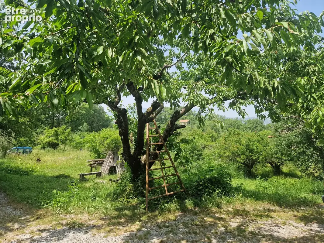 Cadre paradisiaque - photo 3