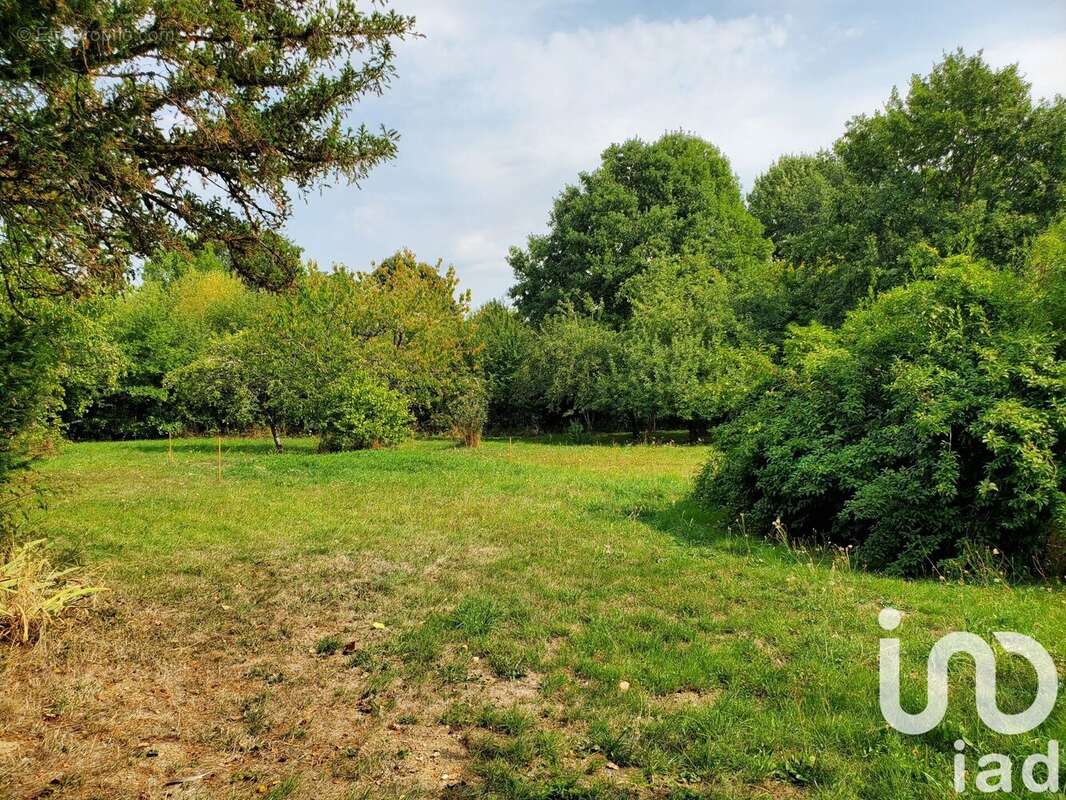 Photo 4 - Maison à SAINT-SAUVIER